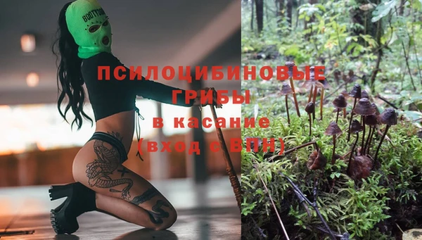 мескалин Белокуриха